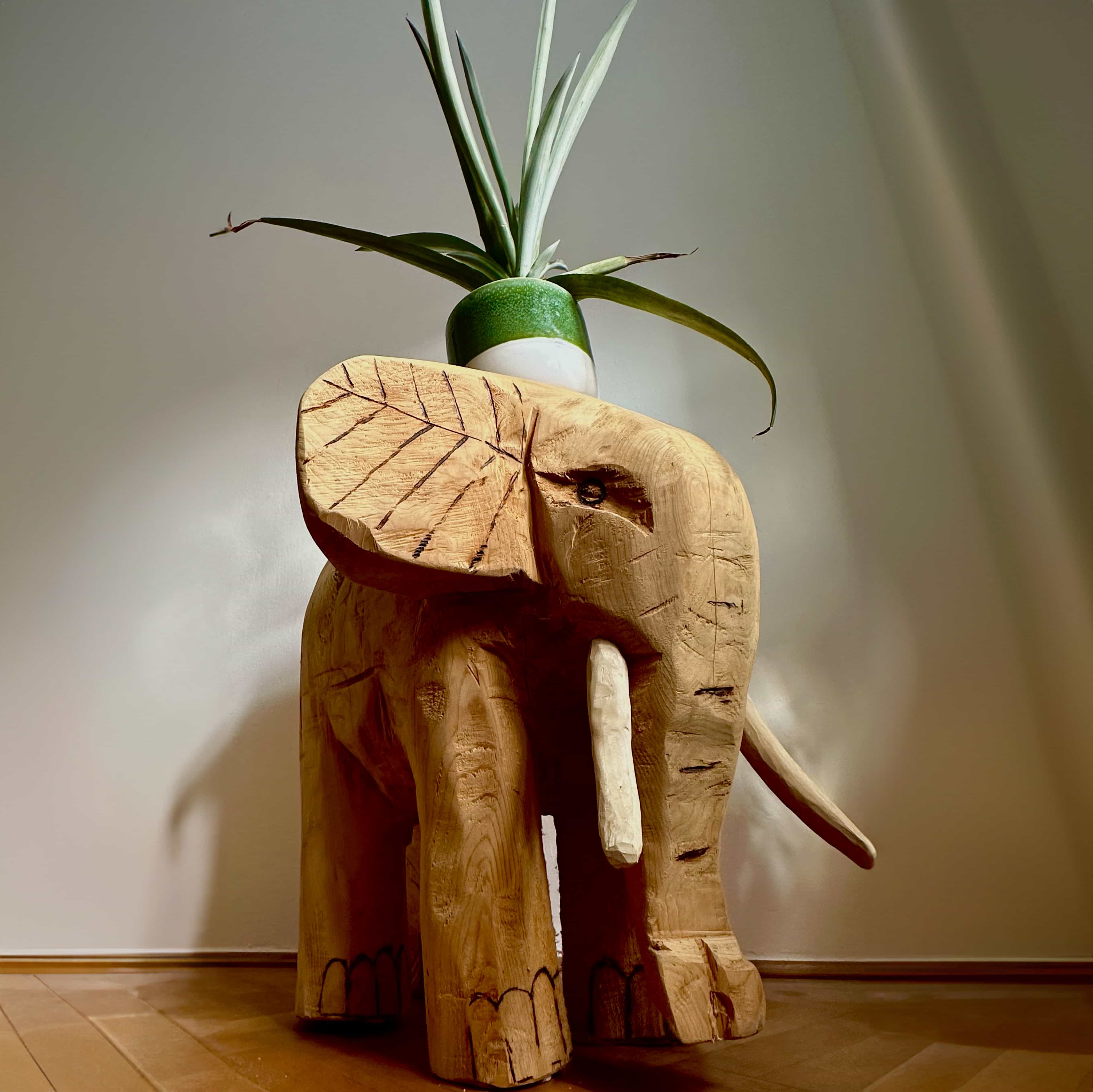 Elefant unten
